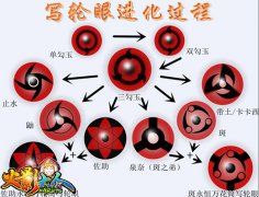 写轮眼共有几种？《火影大人》技能曝光