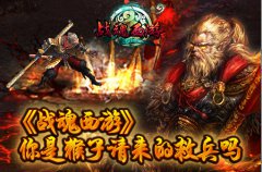 《战魂西游》 你是猴子请来的救兵吗?
