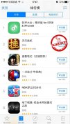  2015新年大喜《天天挂机》荣登IOS下载榜第二 