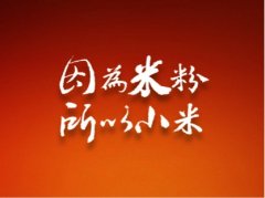 小米模式走俏之下 手游开发如何转型 