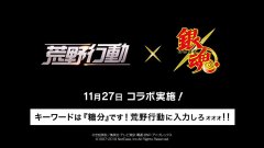  网易《荒野行动》x《银魂》联动PV公开 11月27日上 